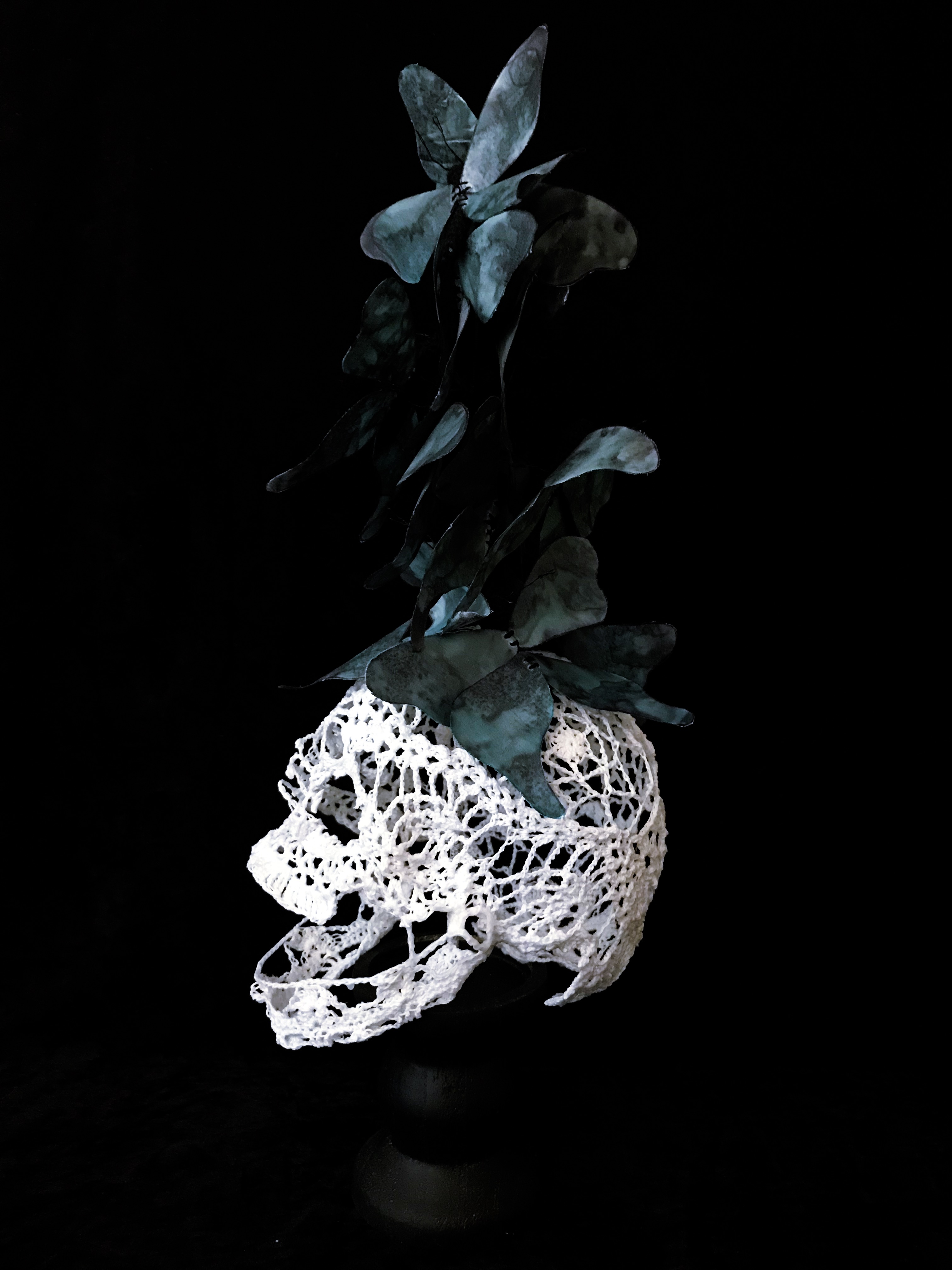 Memento Mori - "Memento Papiliones"