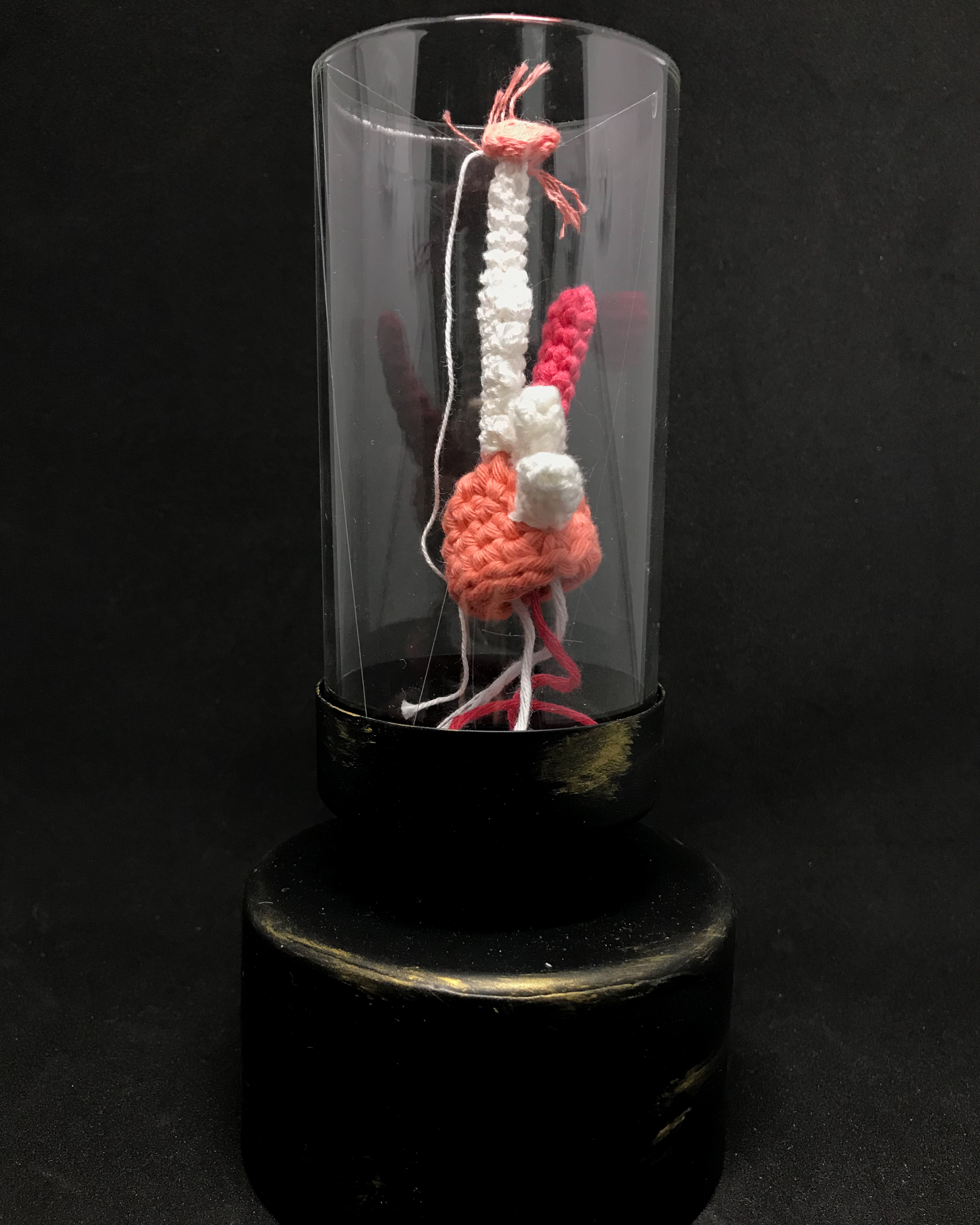 Curiosités - Artificialia - « Curiosité n°1 » - 2020