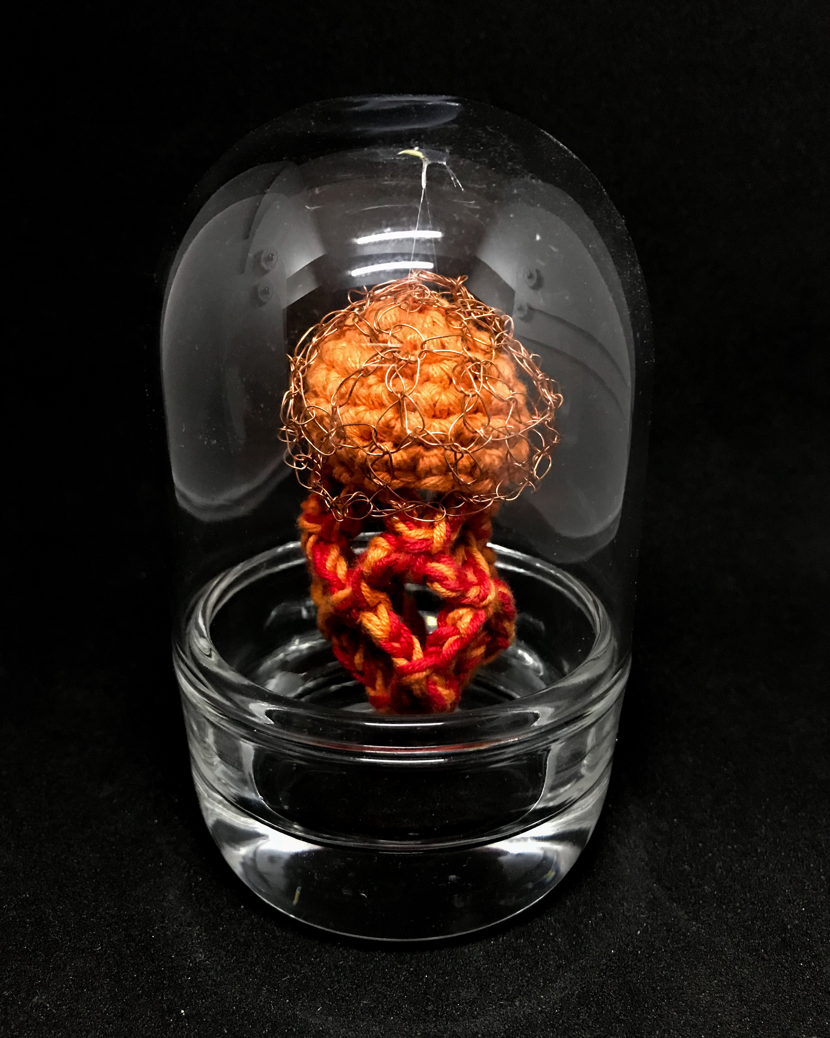 Curiosités - Artificialia - « Curiosité n°3 » - 2020